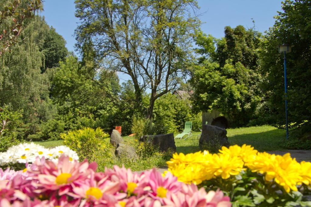 Hotel Garni Grundmuehle Bad Schandau Ngoại thất bức ảnh
