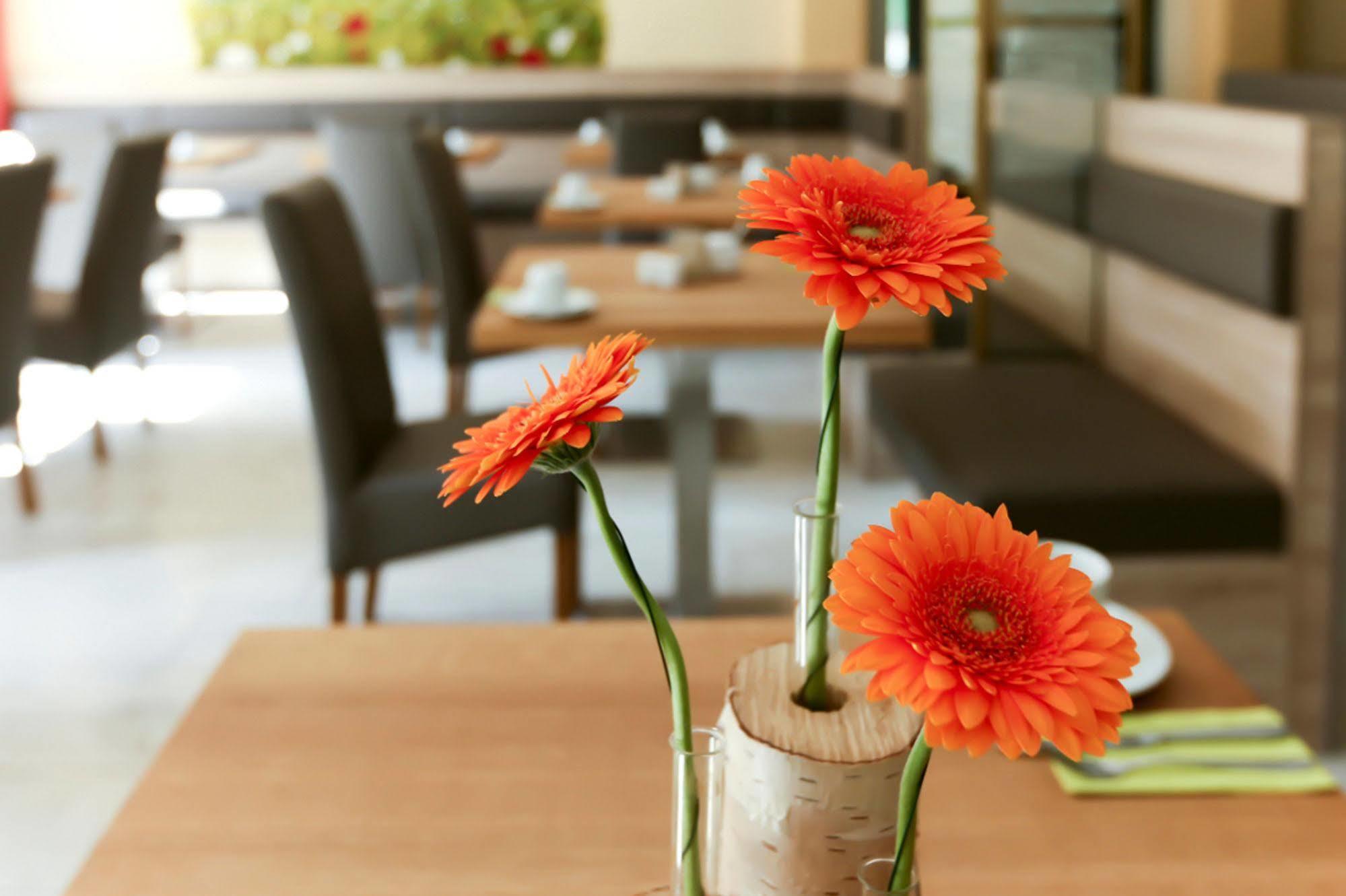 Hotel Garni Grundmuehle Bad Schandau Ngoại thất bức ảnh